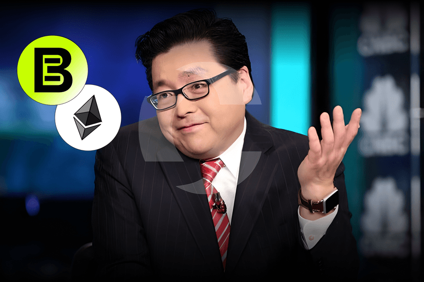 Bitmine Immersion Adds 14,959 ETH ($46M) to Treasury, Reinforcing Ethereum Conviction